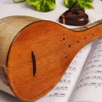 آموزش خصوصی سه تار