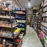 نیروی چیدمان یخچال در هایپر مارکت