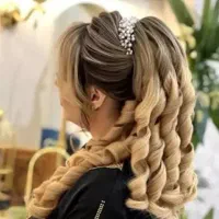 مدل شنیون