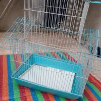 قفس تازه