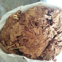 برگ قرمز