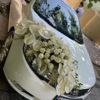 ماشین عروس.  تزیین گل ارایی درب محل شما