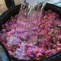 عرقیات خانگی،سلامتی ناب،تازه و بدون افزودنی