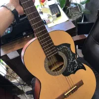 گیتار Cort ac100 op