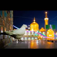 تور ریلی مشهد مقدس شرایط اقساط ۱۲ ماهه