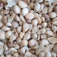 اسلایس و سیر