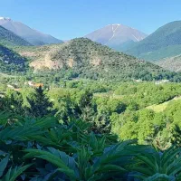 زمین موقعیت مسکونی (شهرکی) واقع در کجور دشت نظیر