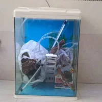 آکواریوم شرکت آکوا