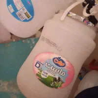 دبه ماست