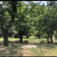 لواسان-معاوضه-و-فروش-1150-متر-باغ-ویلایی-دنج
