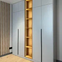کمد دیواری مات و پلاس با دکوری و لاین نوری