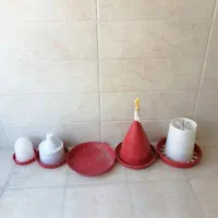 آبخوری و دانخوری مرغ و جوجه
