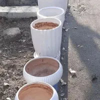 سلام تعدای گلدان