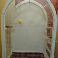 قفس پرنده چوبی