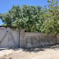 اجاره ای