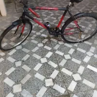 دوچرخه ۲۶  آساک
