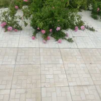 فروش گل محمدی