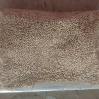کینوا|خوردنی و آشامیدنی|مرودشت, بیست متری بیمارستان|دیوار