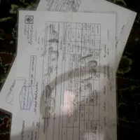سند سی بی چهار صد
