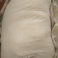 آرد