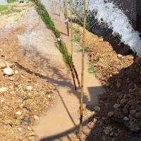 900-متر-مجموعه-چشمه-ساران-دوکوهک