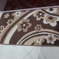 پادری کرم قهوه ای