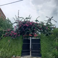 خانه ویلایی
