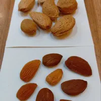 بادام درختی کیلو ۴۰۰ انواع خشکبار دیگه موجود