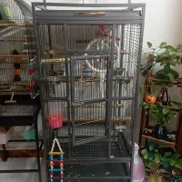 قفس آرا شرکتی جنس خوب