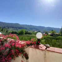 زمین ۲۸۵ متربا پروانه جاده دوهزار امام زمین 'مالک'