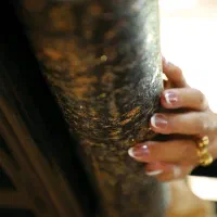 کاغذ دیواری زیر قیمت بازار