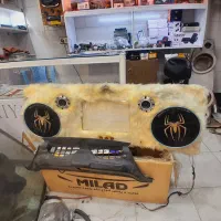 طاقچه و سیستم پژو