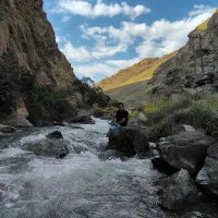 نفر خدماتی