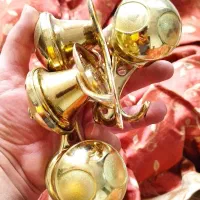 پرده سلطنتی 24 تکه