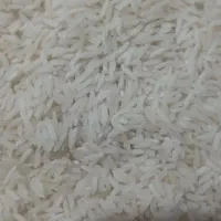 برنج هاشمی سال زراعی ۱۴۰۵