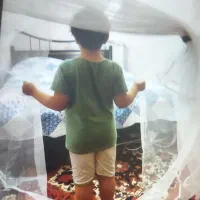 پشه بند