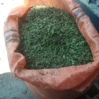 نعنا خشک عطر بو واقعا عالی