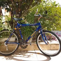 دوچرخه امگا سایز 26