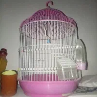 قفس پرنده