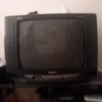 تلویزیون