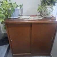 جاکفشی ریلی