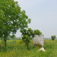 باغ-انارگردونزدیک-بافت-کردکوی-روستادرودمحله