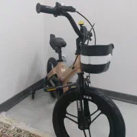 دوچرخه فیلیپس