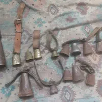 زنگوله‌،یاکورکوری‌قدیمی باکلک‌