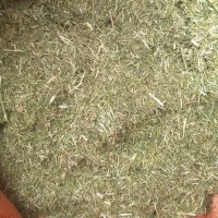 بیده خرد شده