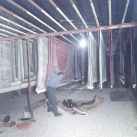 قالیشویی مکانیزه ((ارگ))