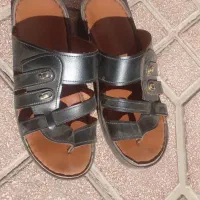 دمپای عربی انگشتی اصل