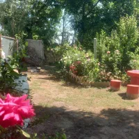 باغ-1800-متری