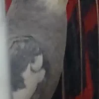 عروس هلندی نر سخنگو