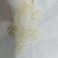 فروش برنج هاشمی